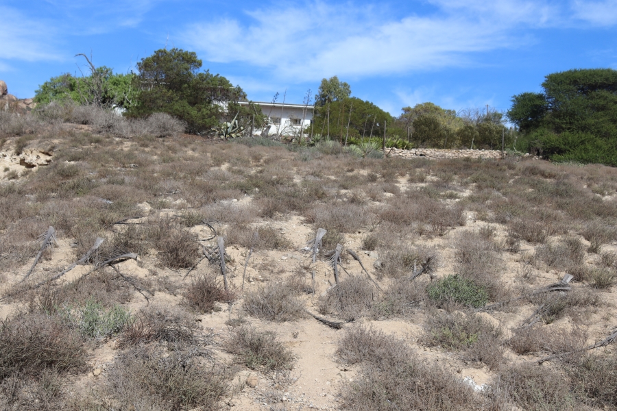 0 Bedroom Property for Sale in Da Gama Bay Western Cape